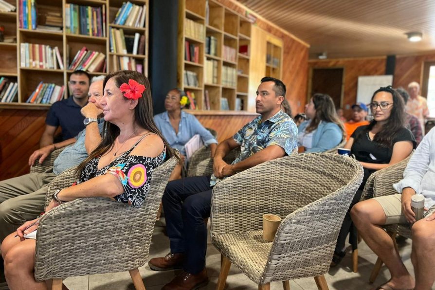 Exitosa primera reunión de planificación de la Consulta Indígena Nacional de Patrimonio en Rapa Nui