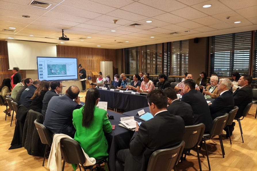 CODEIPA realiza su tercera sesión plenaria de 2026 y aborda avances en la modificación de la Ley N.º 21.070 y desafíos prioritarios para Rapa Nui